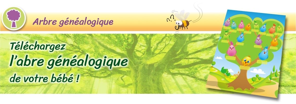 Arbre Genealogique Joli Faire Part Arbre Genealogique Joli Faire Part