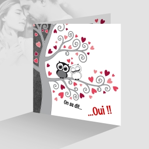 Faire-part de mariage humoristique avec chouettes original