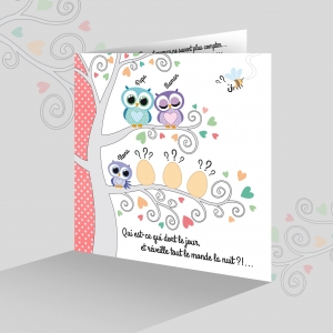 faire part naissance unique triplés avec frère ou soeur chouette