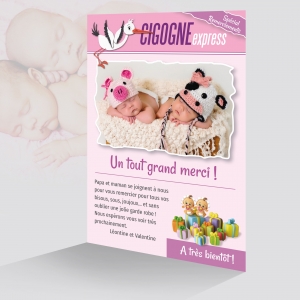Très Belle Carte Remerciement Naissance Photo Jumelles Presse Magazine